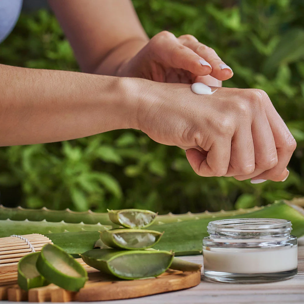 Aloe Vera - Image 3