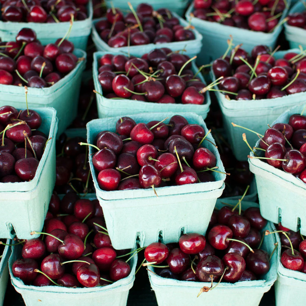 Black Tartarian Cherry Tree - Image 3