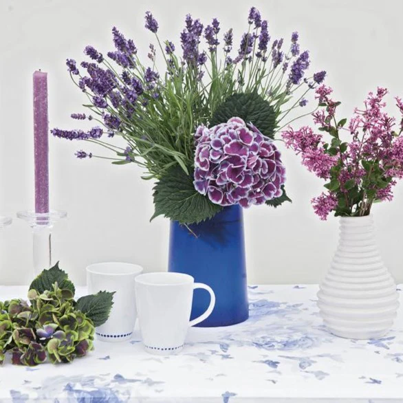 Bloomerang® Dark Purple Lilac - Image 5