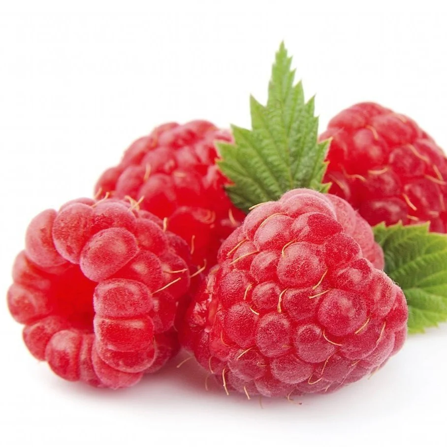Bushel and Berry® Raspberry Shortcake® - Image 6
