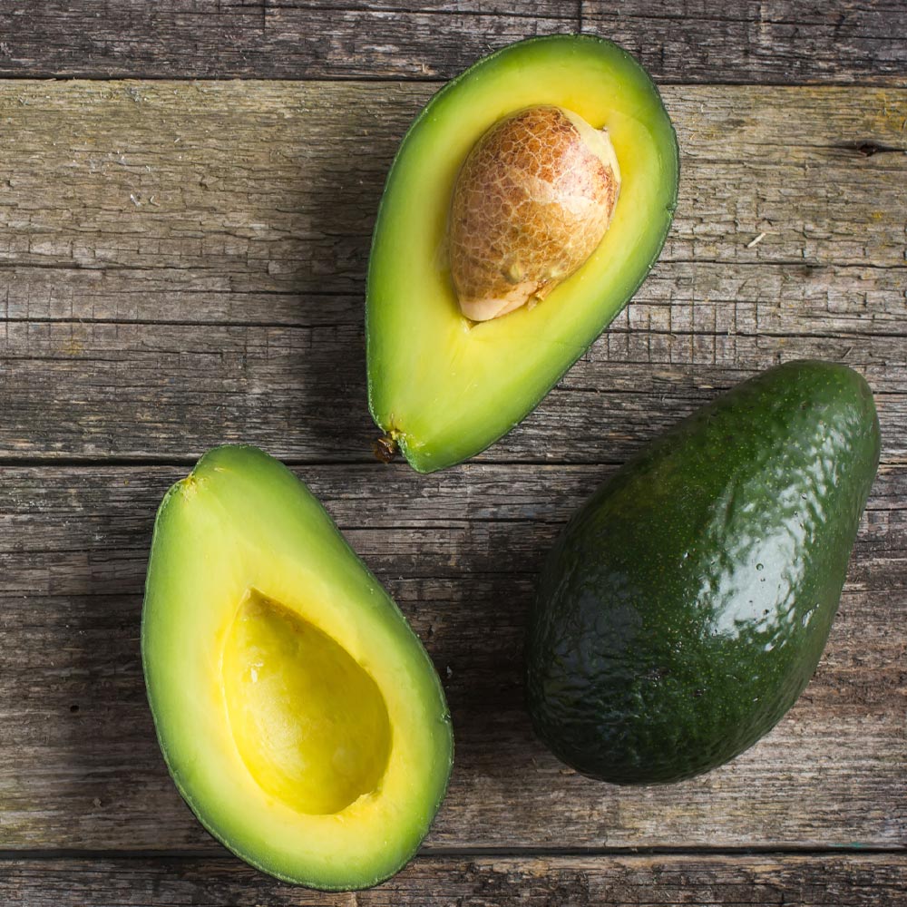 Cold Hardy Avocado Tree - Image 3