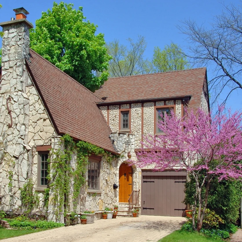 Eastern Redbud - Image 8