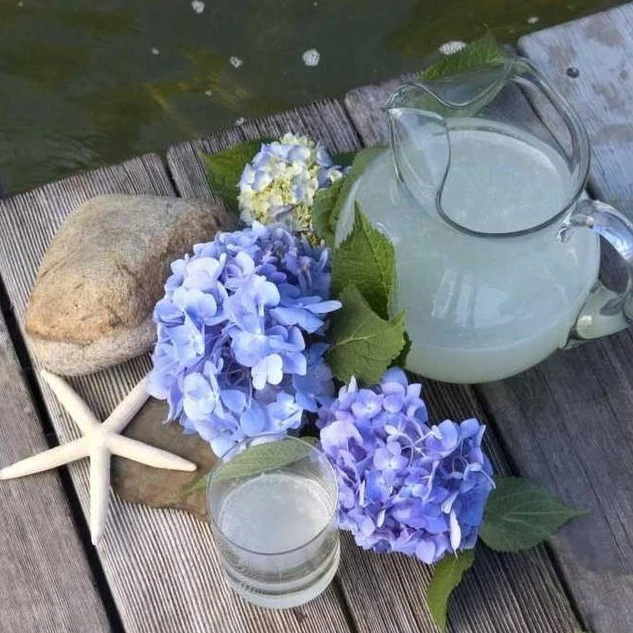 Endless Summer® Hydrangea - Image 6