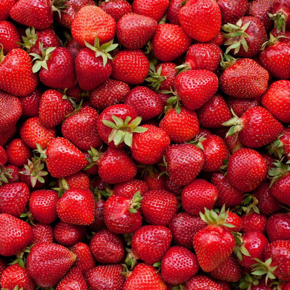 Everbearing Strawberry - Image 3