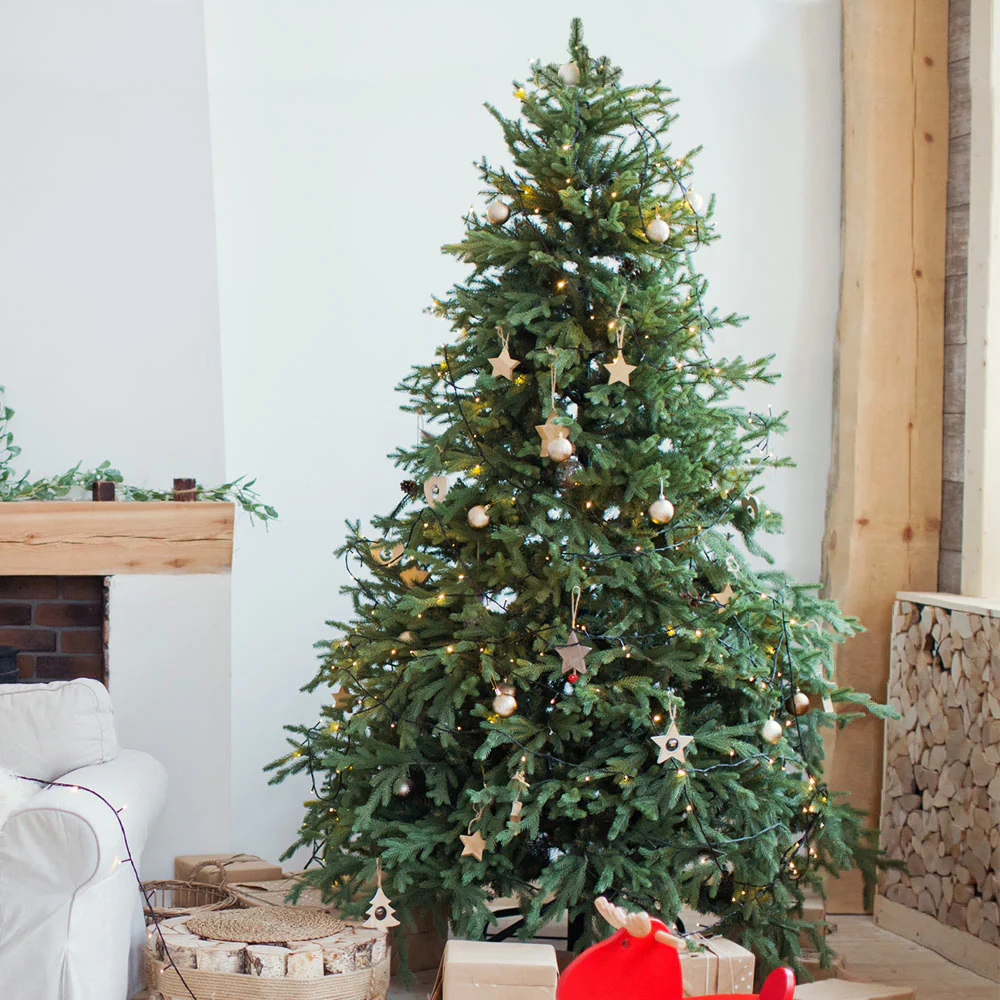 Fresh Cut Christmas Tree - Fraser Fir