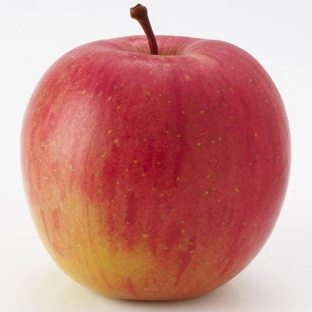 Fuji Apple Tree - Image 4