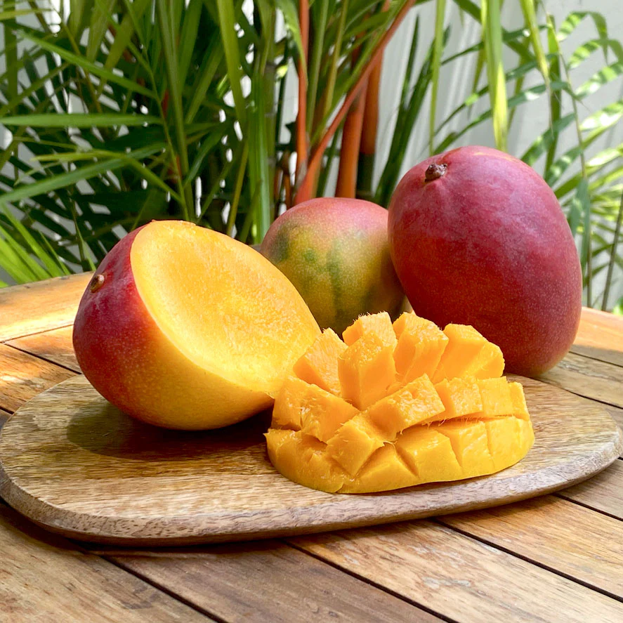Glenn Mango Tree - Image 3