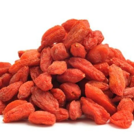 Goji Berry Shrub - Image 4
