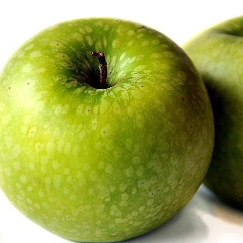 Granny Smith Apple Tree - Image 2