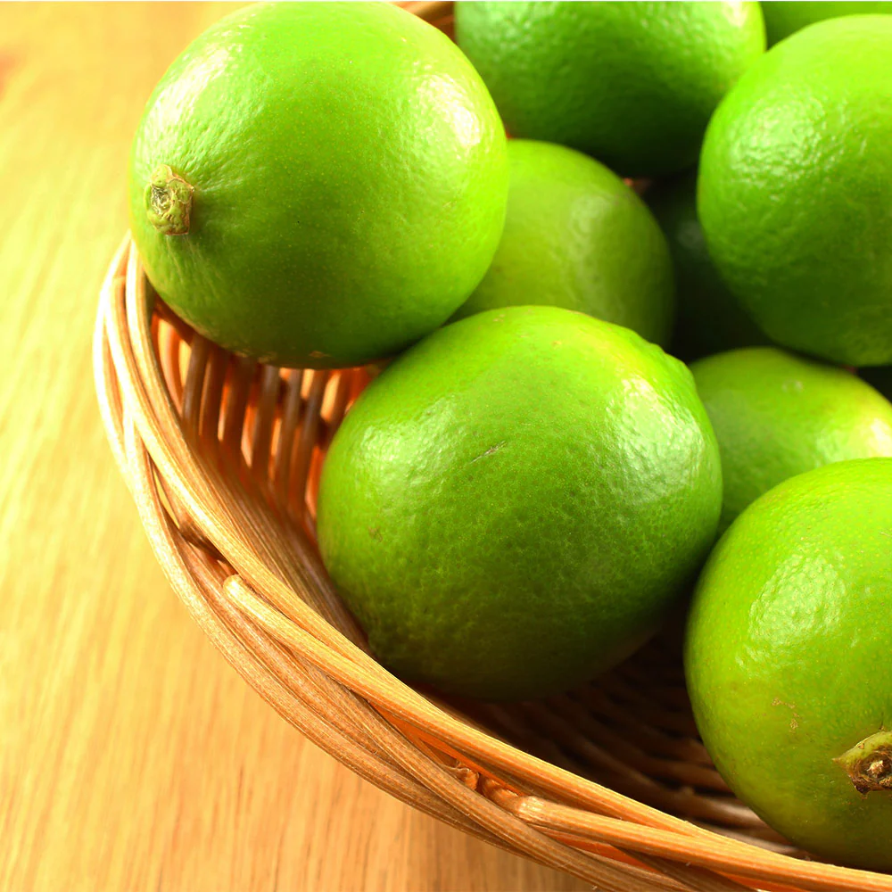 Key Lime Tree - Image 3