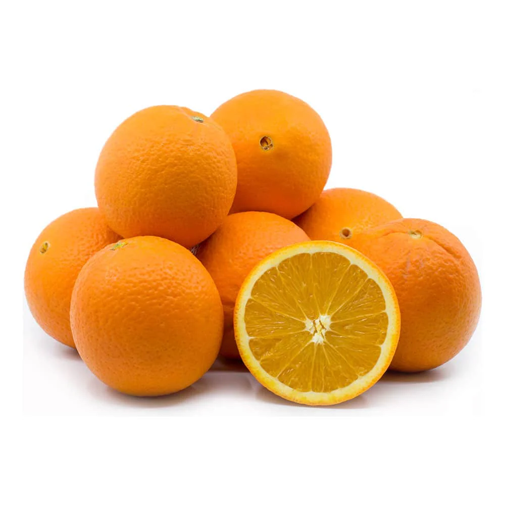 Navel Orange Tree - Image 3