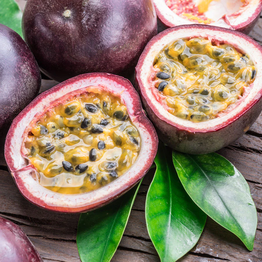 Possum Purple Passion Fruit - Image 2