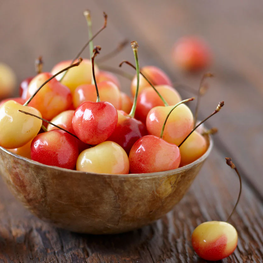 Rainier Cherry Tree - Image 2
