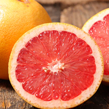 Ruby Red Grapefruit Tree - Image 2