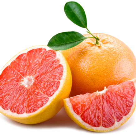 Ruby Red Grapefruit Tree - Image 3