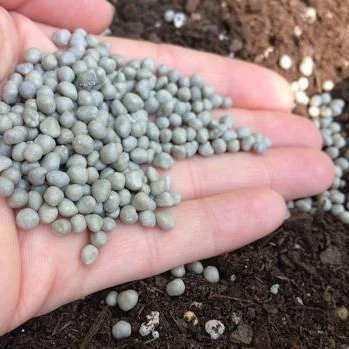 Slow-Release Fertilizer - Image 3