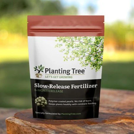 Slow-Release Fertilizer - Image 4