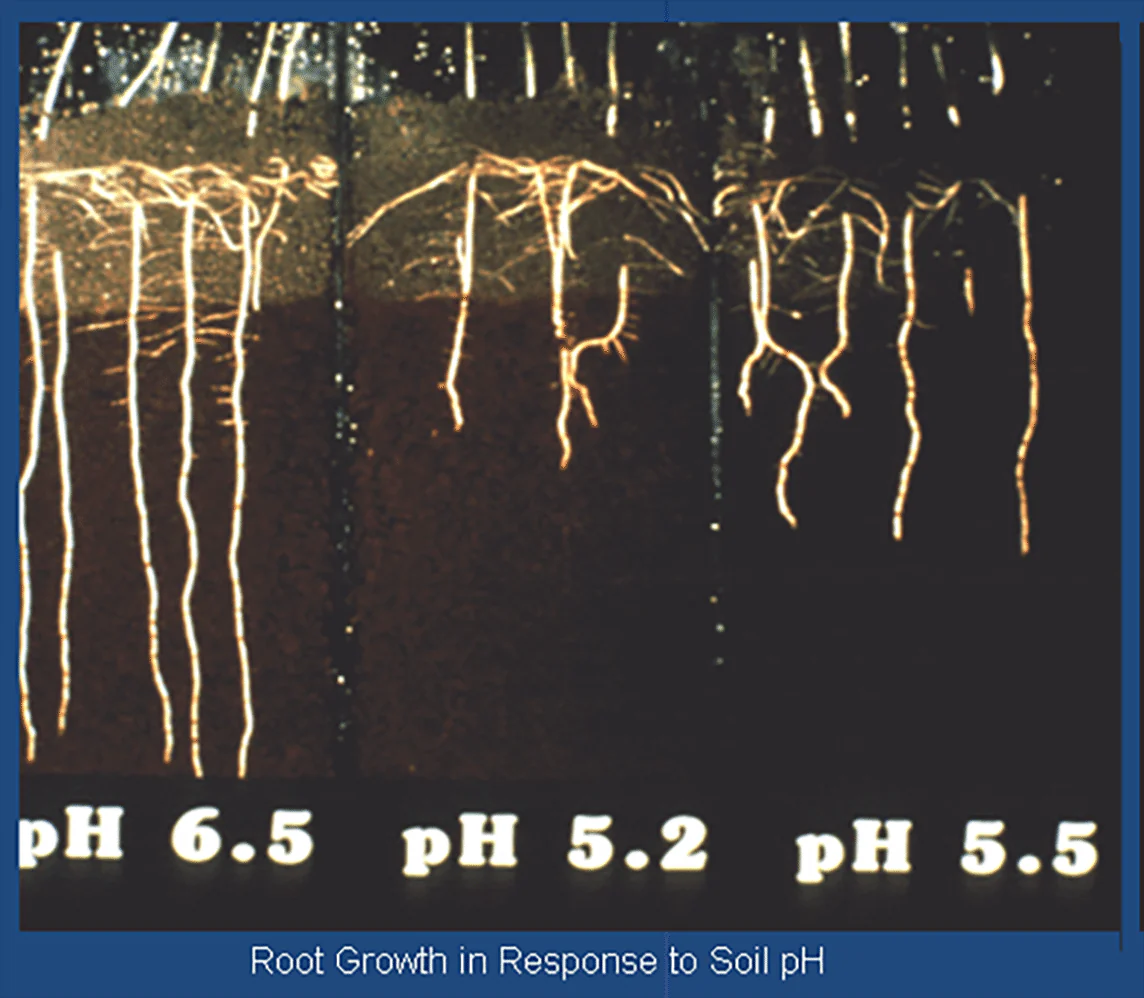 SOLU-CAL Enhanced Calcitic Lime - Image 2