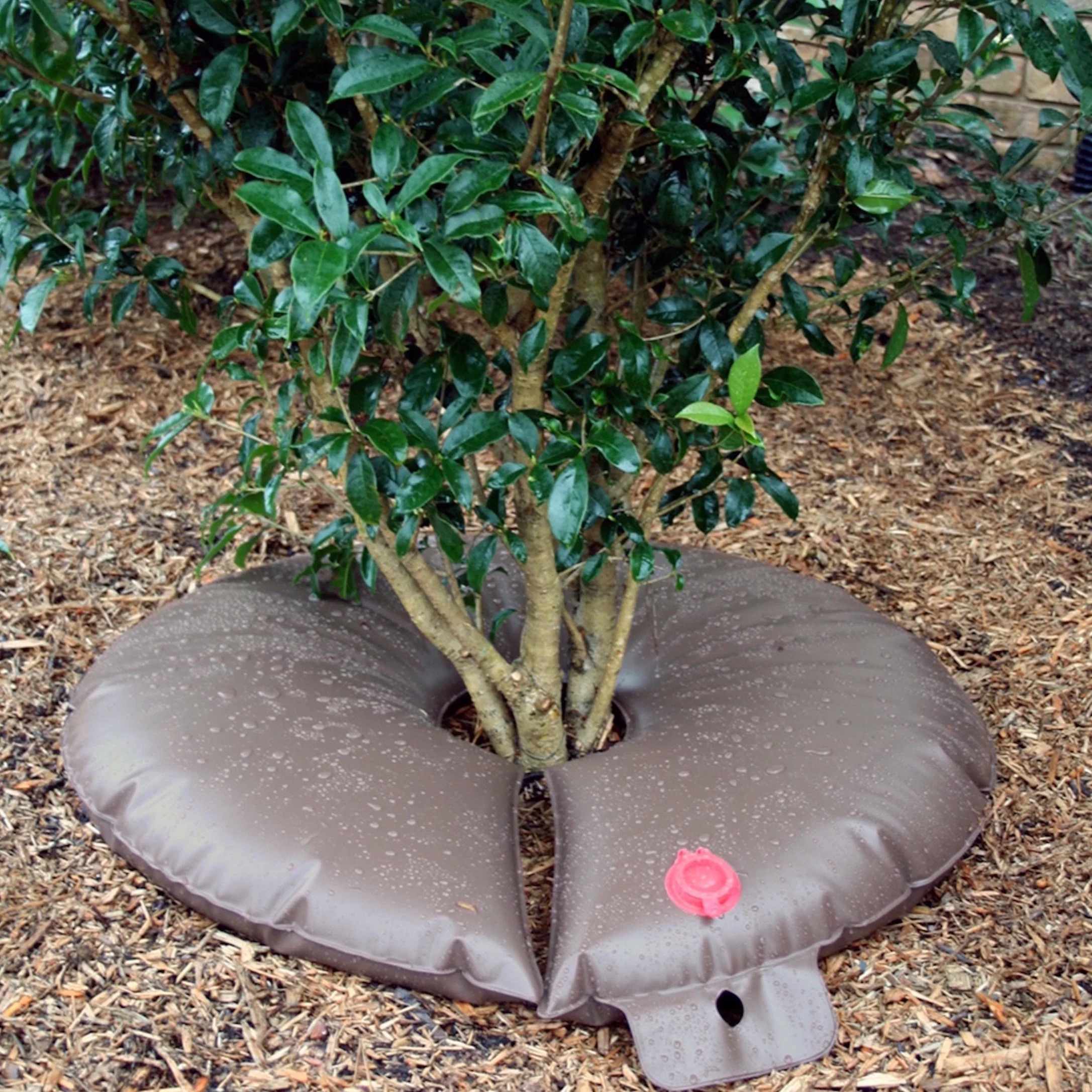 Slow Release Watering Bag - Image 3