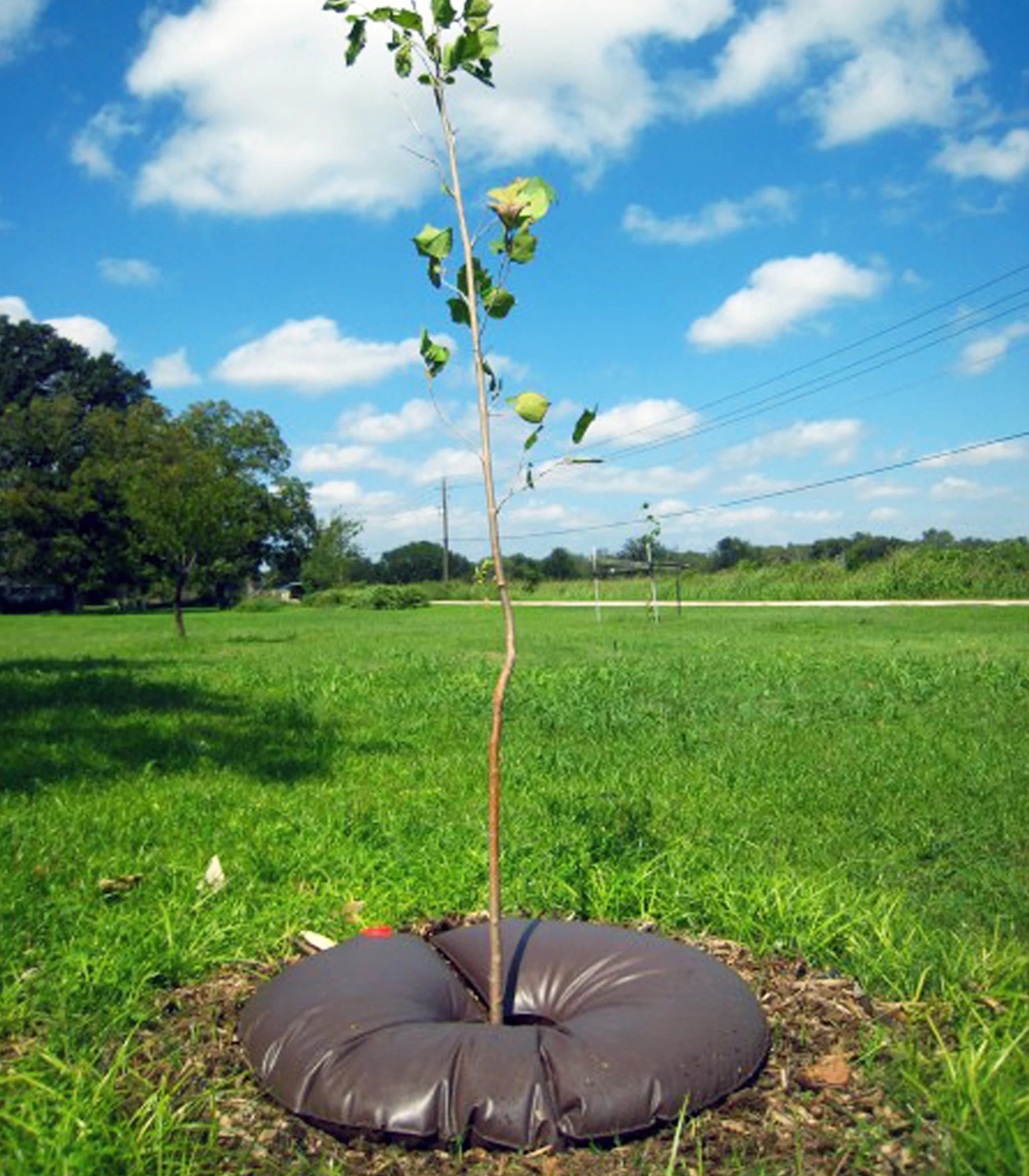 Slow Release Watering Bag - Image 4