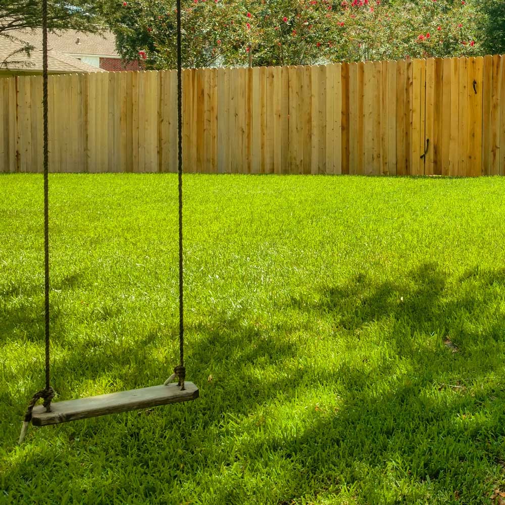 TurboTurf™ Sun & Shade Grass Seed - Image 4
